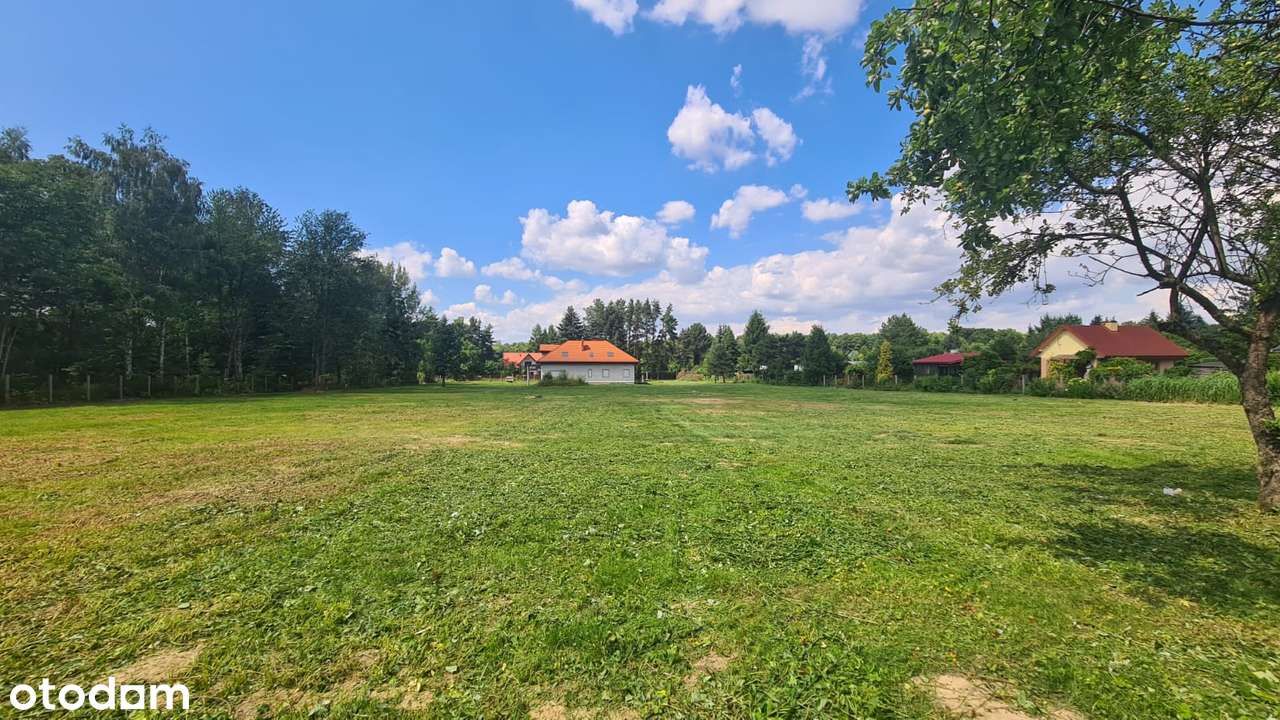 Piękna Działka W Łódzkich Łagiewnikach - Pełny obrazek: 2/3