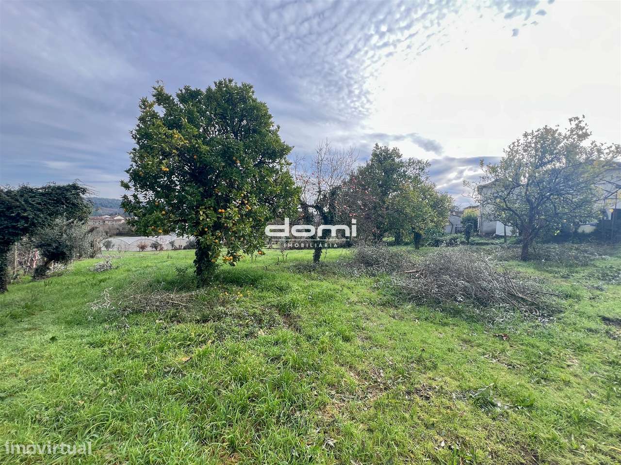 Terreno com viabilidade de construção em Moçamedes – Vouzela - Grande imagem: 3/14
