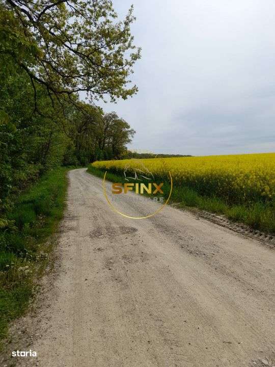 Teren cu autorizatie 3 case Caldarusani lac/padure 2700 mp, 85 ml desc - Imagine principală: 2/3