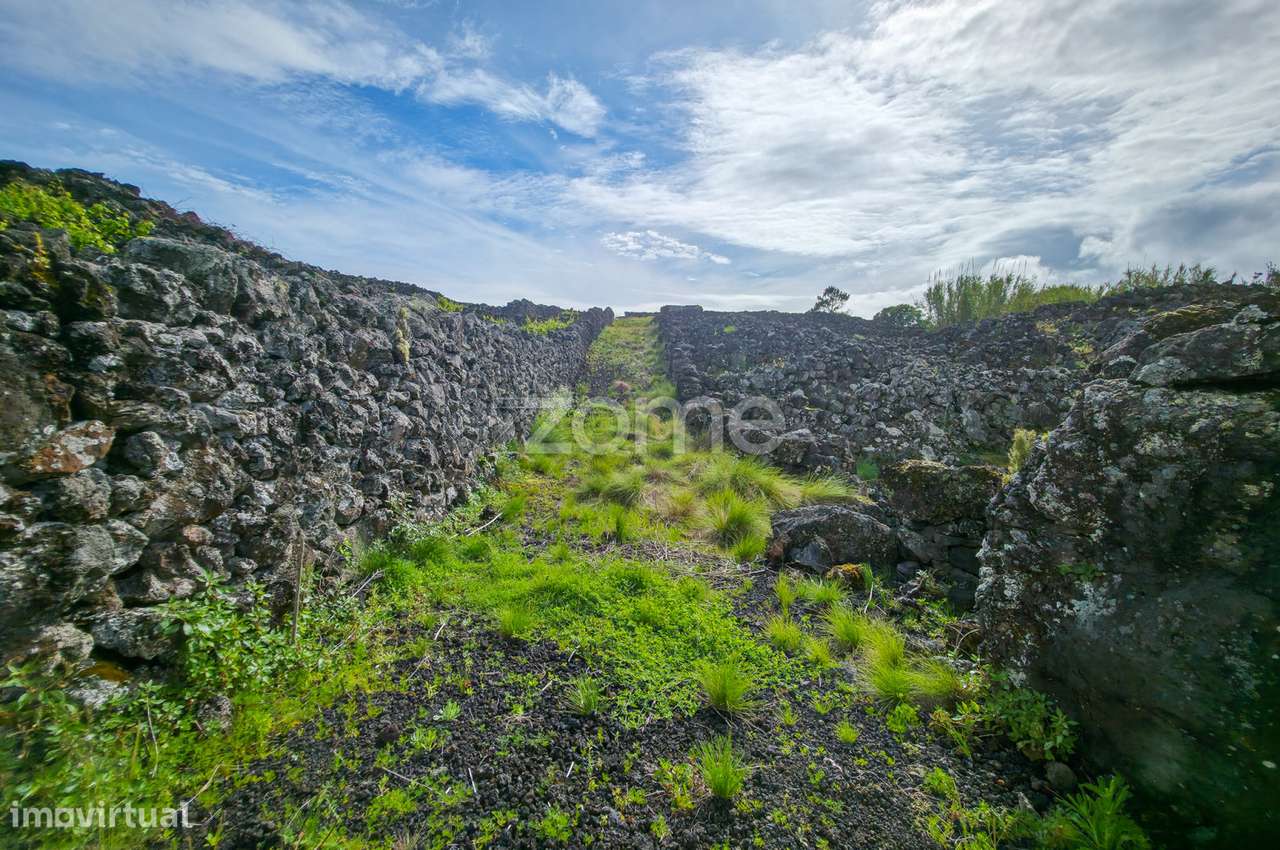 Terreno Rústico com Vinha nos Toledos, Madalena, Ilha do Pico - Grande imagem: 4/23
