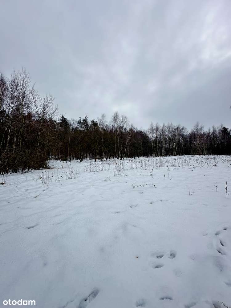 Duża działka pod lasem - Łazany blisko Wieliczki i Gdowa-3