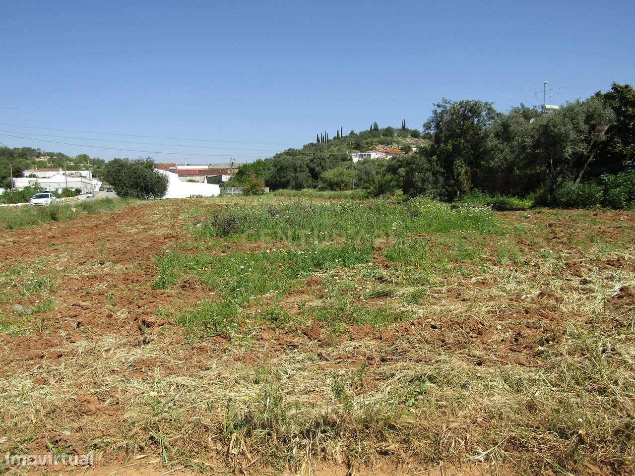 Terreno Rústico em Boliqueime - Grande imagem: 5/5