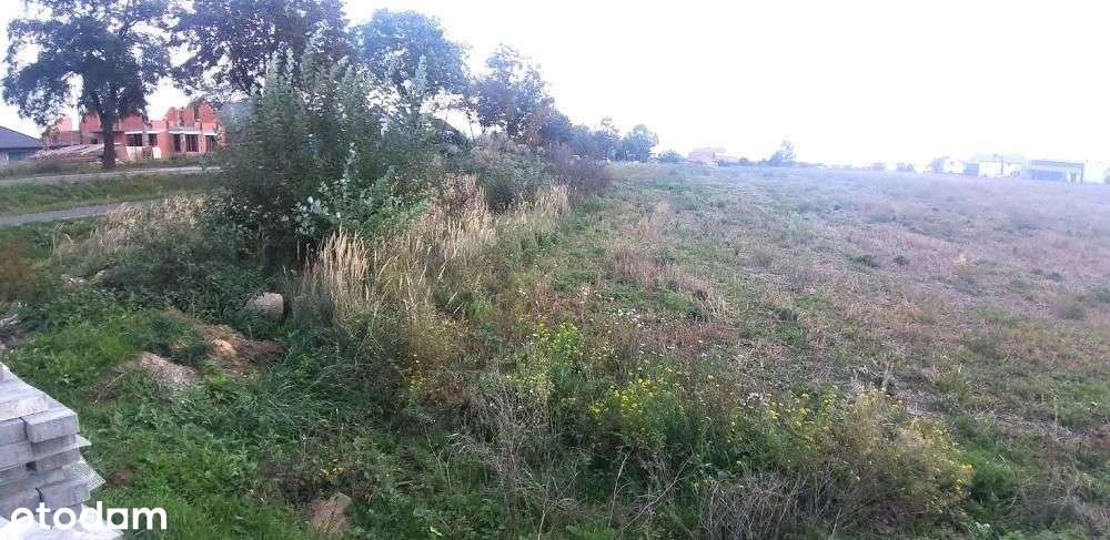 Tarnowo Podgórne-Góra - ul. Poznańska - nowa cena-6