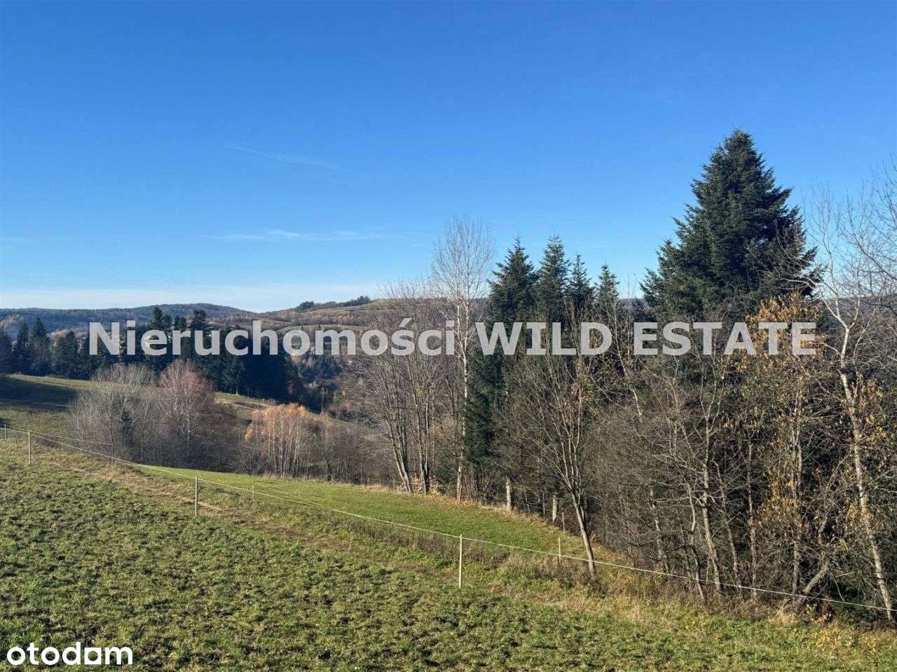 Działka, 4 969 m², Zawóz - Pełny obrazek: 4/7