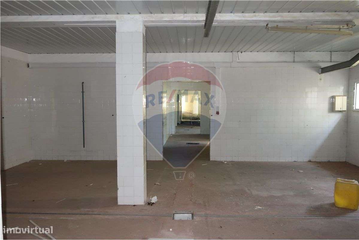 Industrial T0 para venda - Grande imagem: 4/13