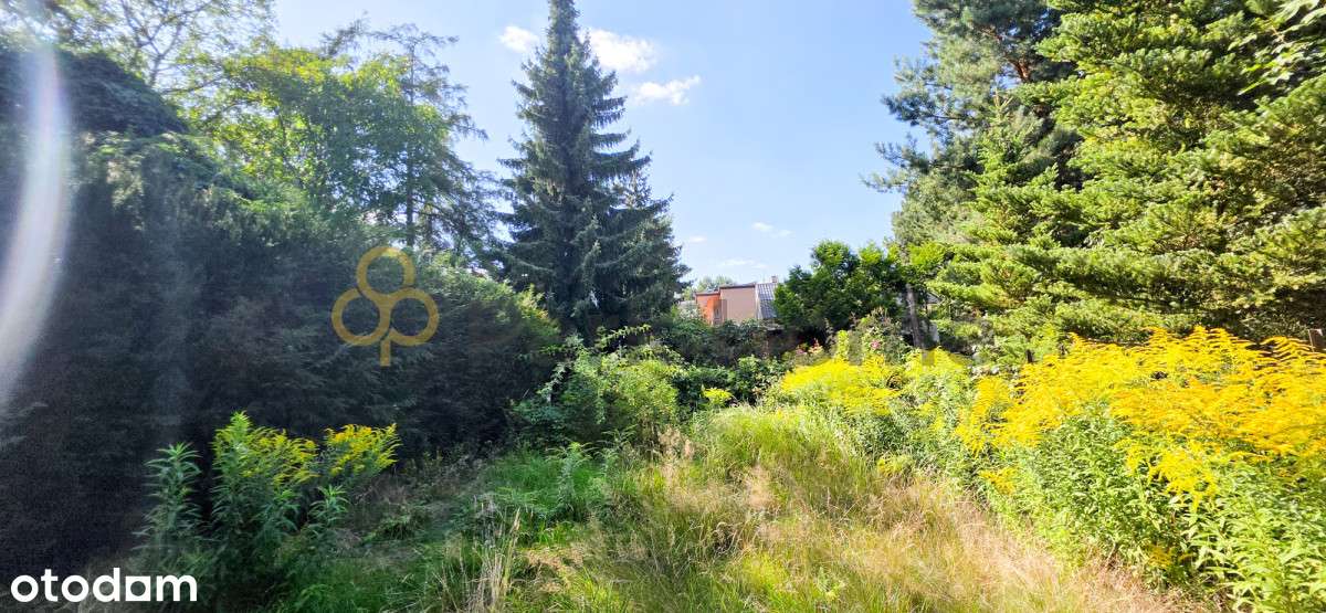 Unikalny parter w przedwojennej willi z ogrodem