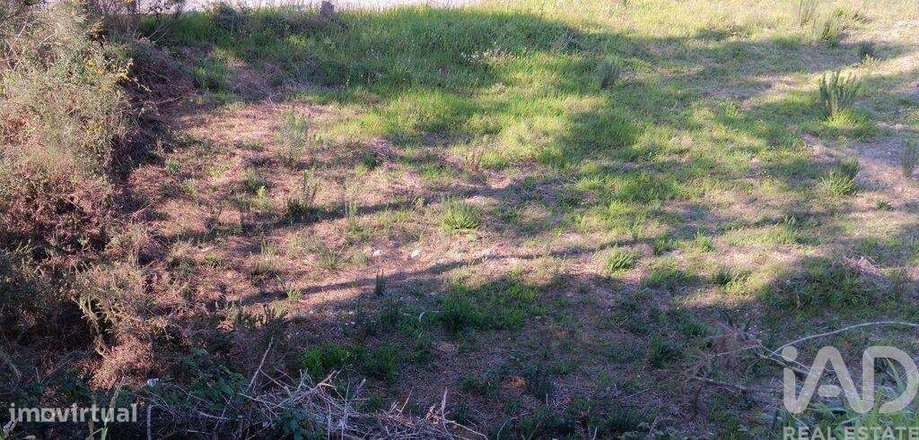 Terreno em Pedrógão Grande de 560,00 m2 - Grande imagem: 5/25
