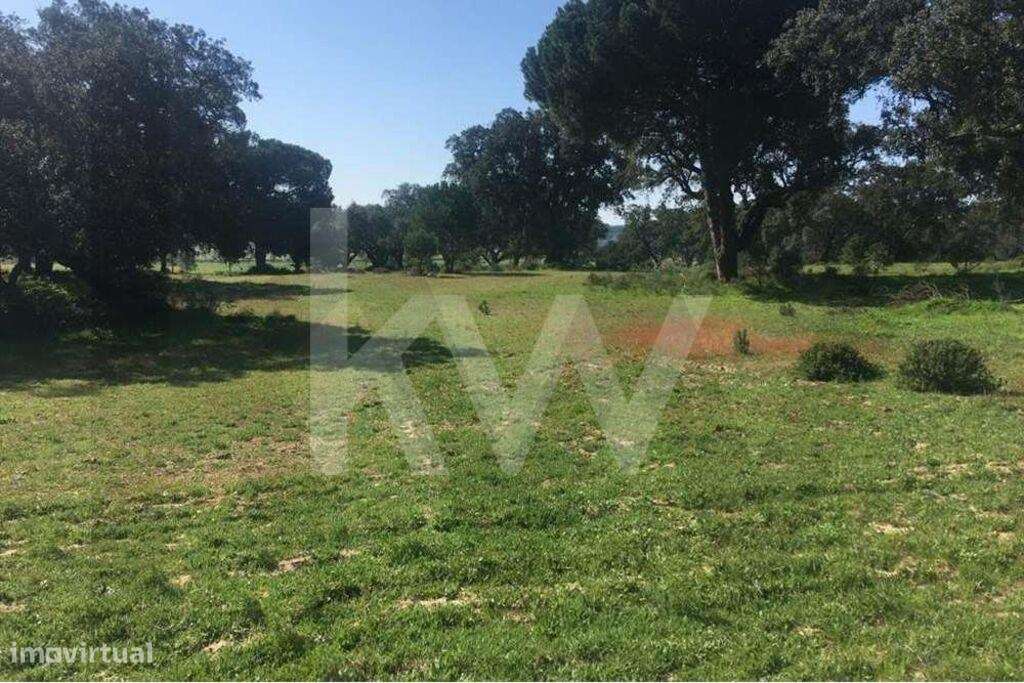 Herdade Exclusiva de 29 Hectares na Marateca, próxima de Águas de Mour - Grande imagem: 3/19