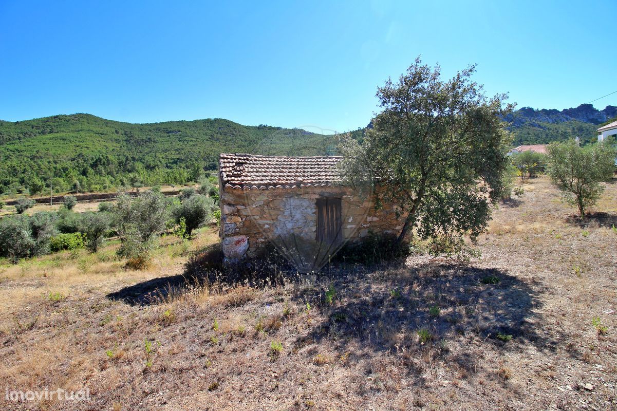 Terreno  para venda