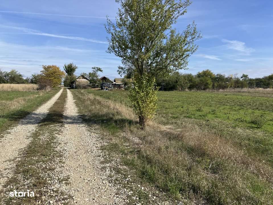 Teren Intravilan com. Ratesti - Imagine principală: 4/4