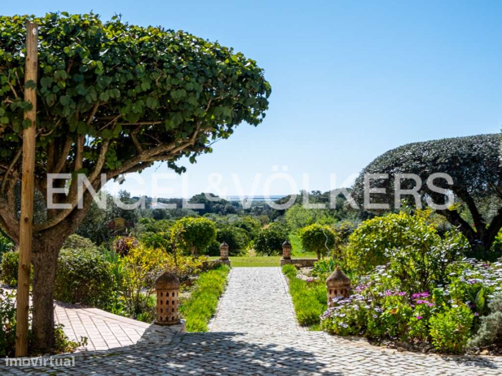 Jasmine Villa - Grande imagem: 4/37