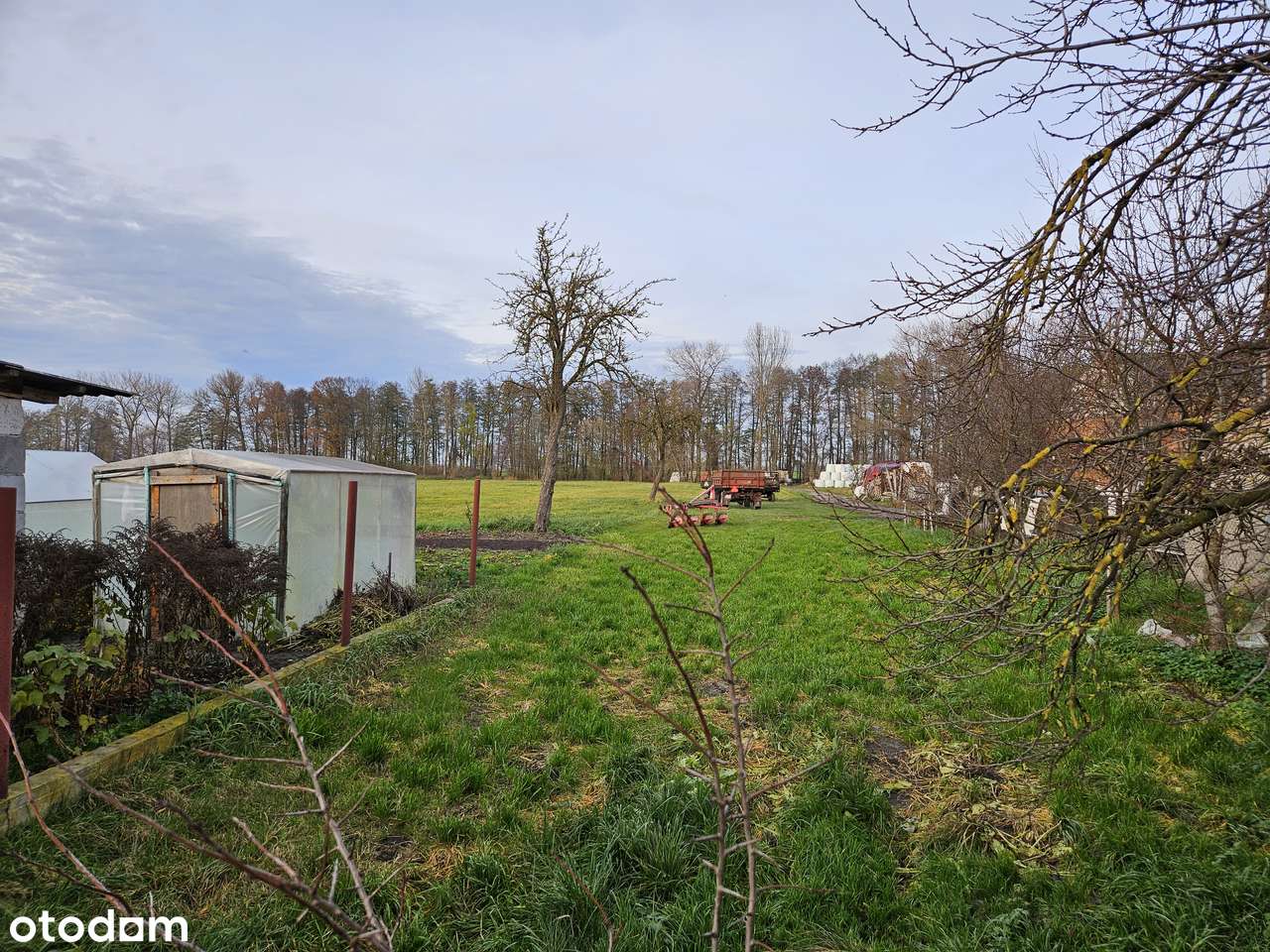 REZERWACJA!  Przytulny dom 82m2 z garażem, działką 2640 m2, Parzęczewo-12