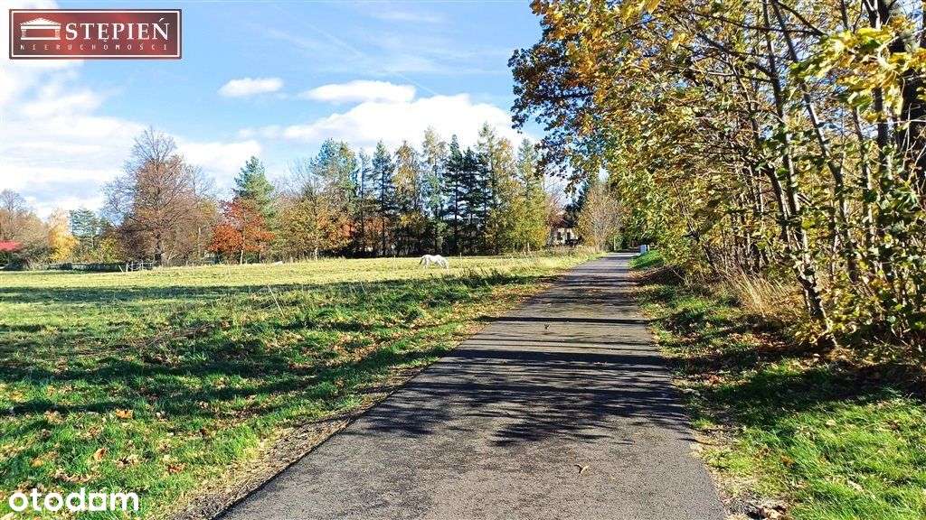 Działka rolna z potencjałem zabudowy - Pełny obrazek: 4/9