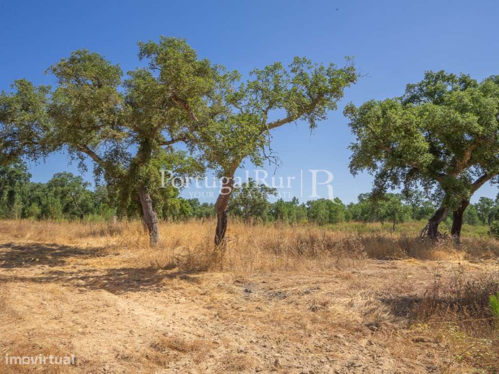 Quinta de 20ha com projeto para Turismo Rural a 1h de Lisboa-25