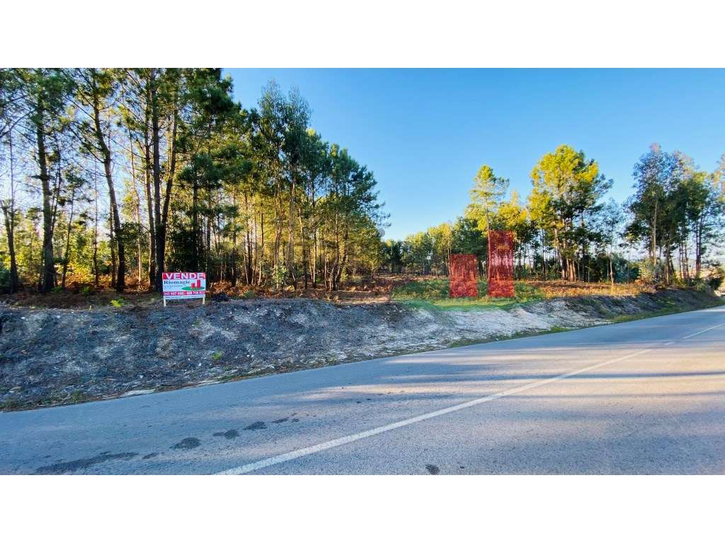 Terreno com Viabilidade para Loteamento - Grande imagem: 2/15