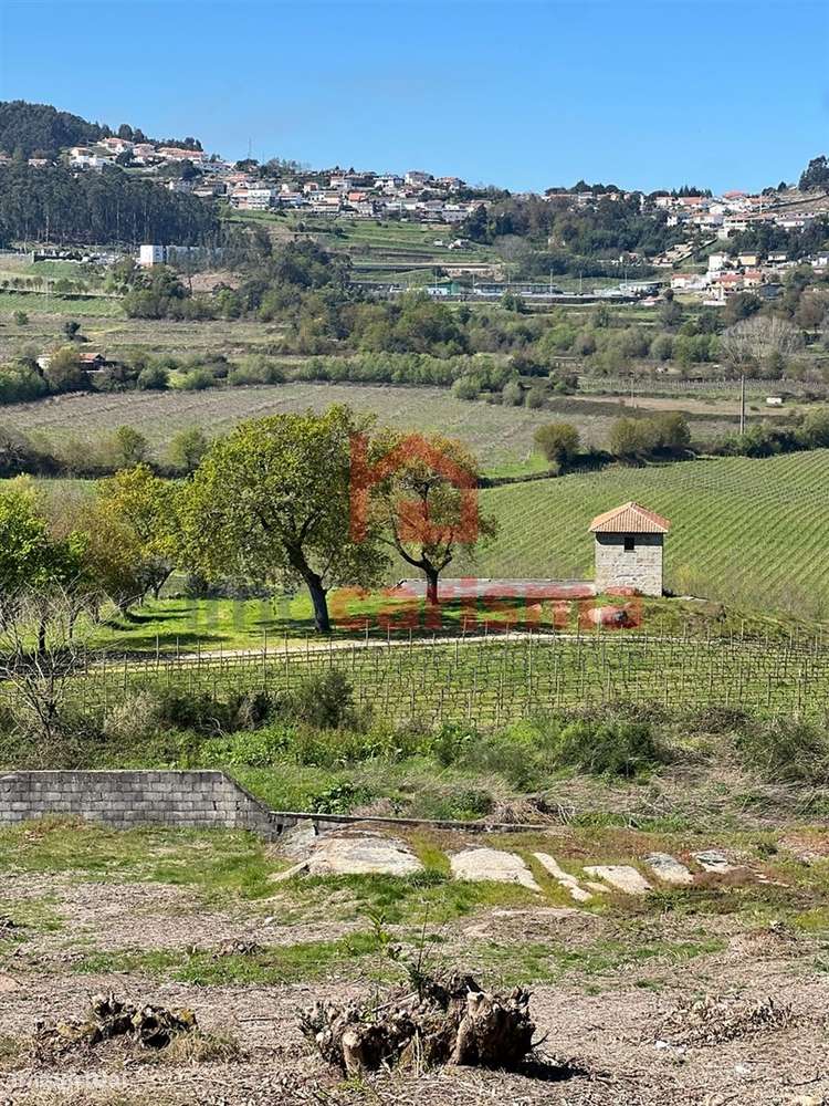 Lote de Terreno para construção com 700m2 em S. Martinho do Campo, San - Grande imagem: 4/13