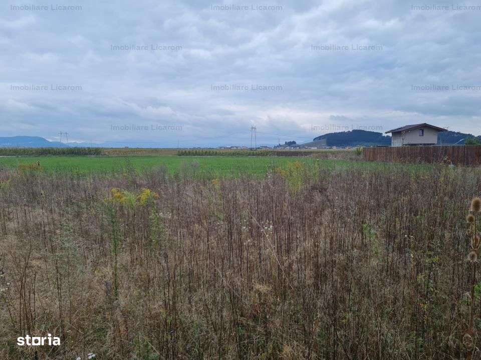 De vanzare teren  502 mp Harman Aleea 14 pret 40000 euro-3