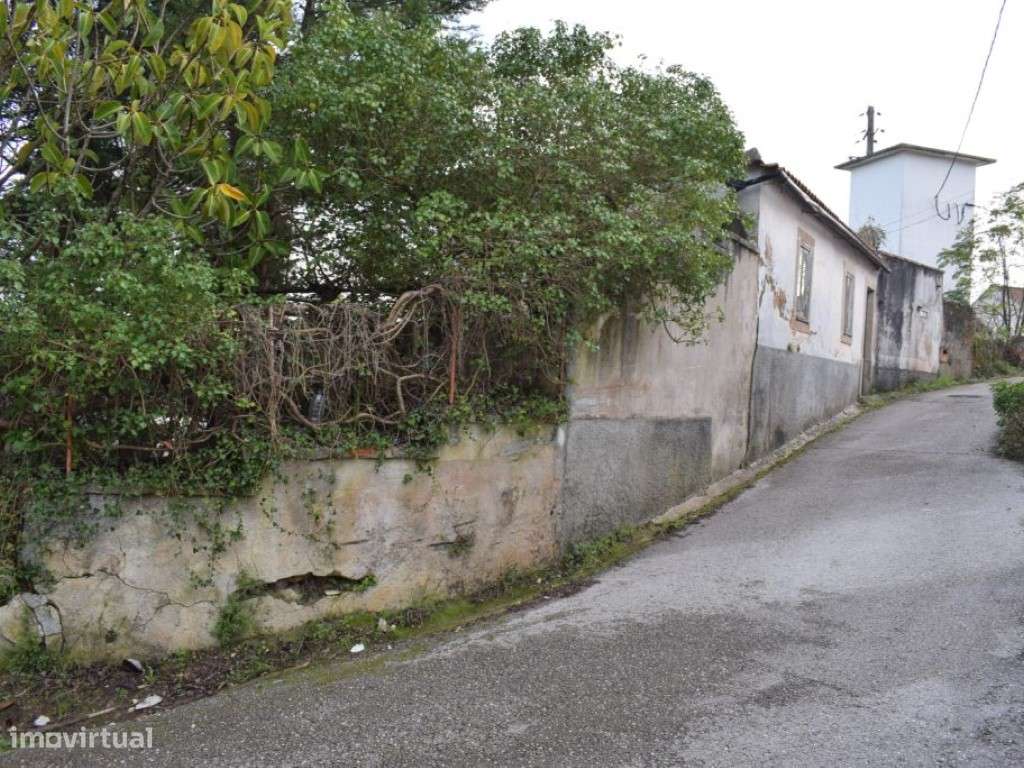 Quinta entre Antanhol e Cernache-16