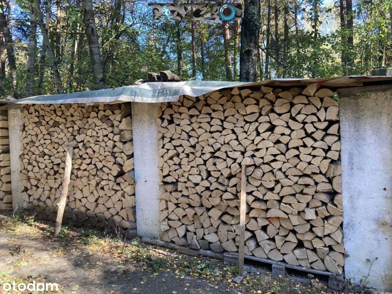 Dom z ogrodem w sosenkach - Pełny obrazek: 5/18