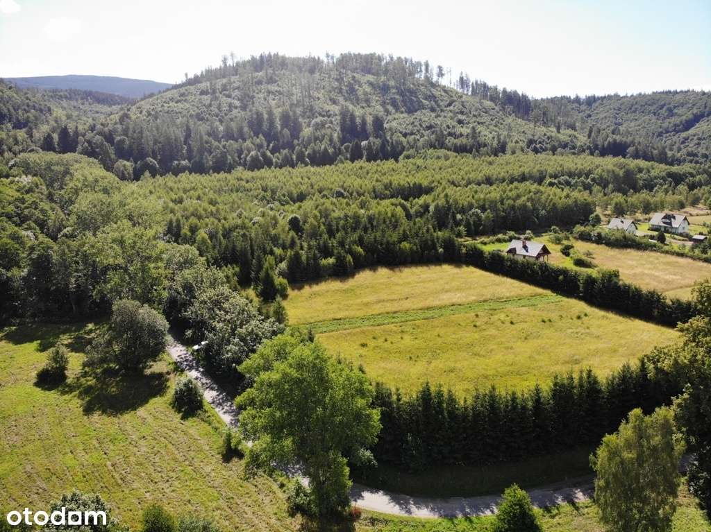 Nowa Wieś, piękna działka w górach! - Pełny obrazek: 4/7