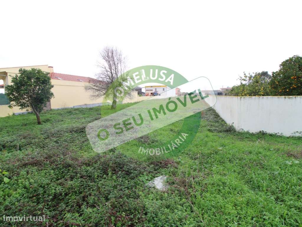 Terreno com 2800m2 no Bom Sucesso. - Grande imagem: 5/12