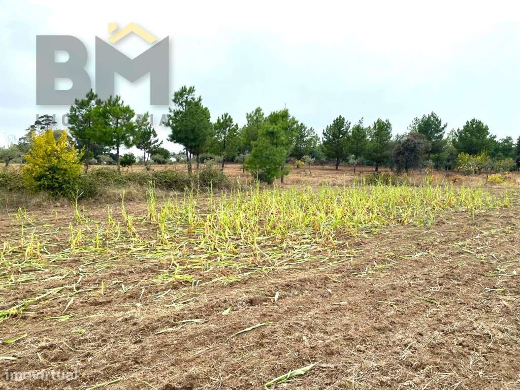 Propriedade com 7.800m2 - Grande imagem: 3/21