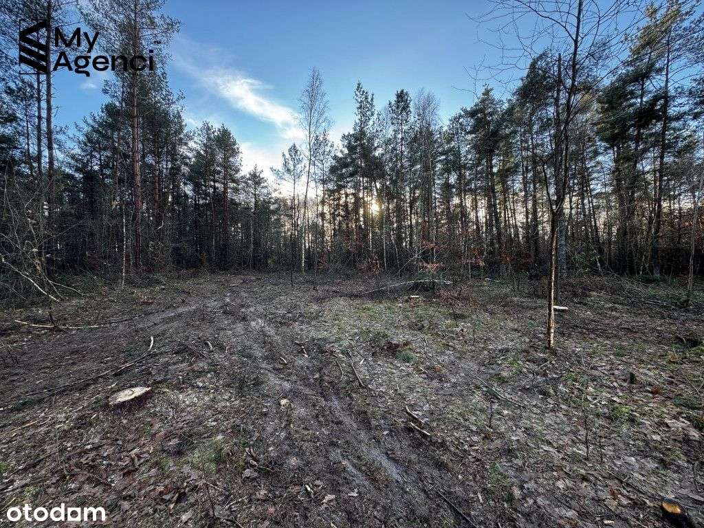 Lewino, ul. Lipowa - działki na sprzedaż-15