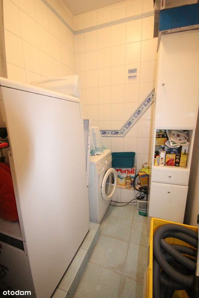 okolice ul. Dębowej NOWE2009/OGRÓD - Pełny obrazek: 5/20