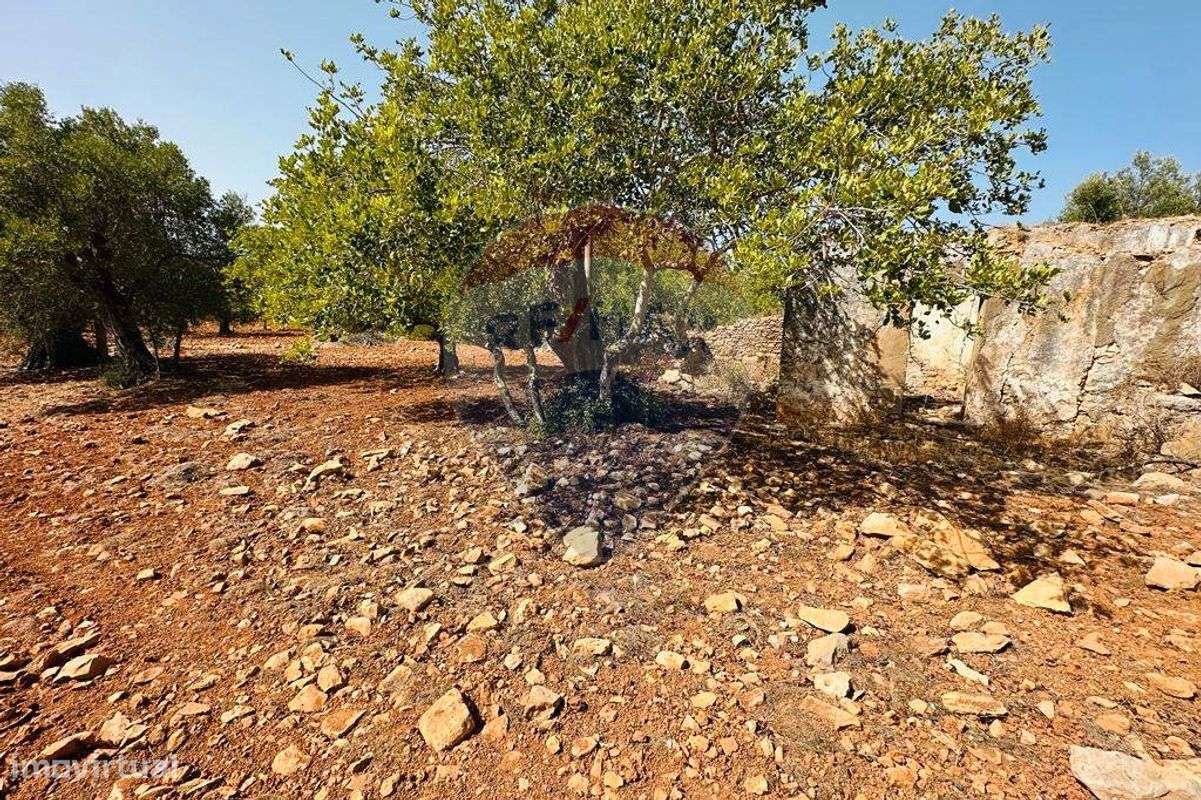 Terreno  para venda - Grande imagem: 5/21