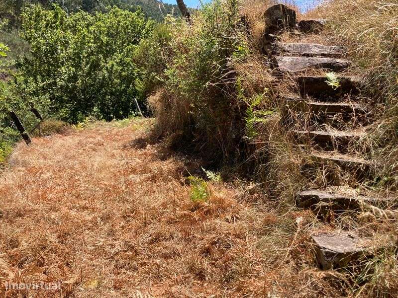 Quinta Arouca 6600mt2 - Grande imagem: 5/12