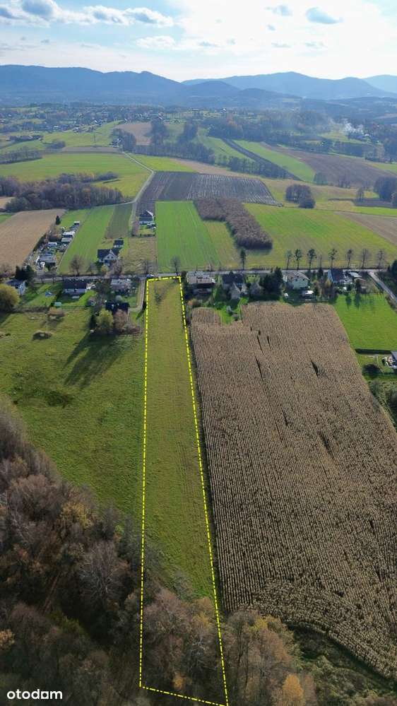 Kompleks działek 7159m² w Rudzicy – MPZP i media-2