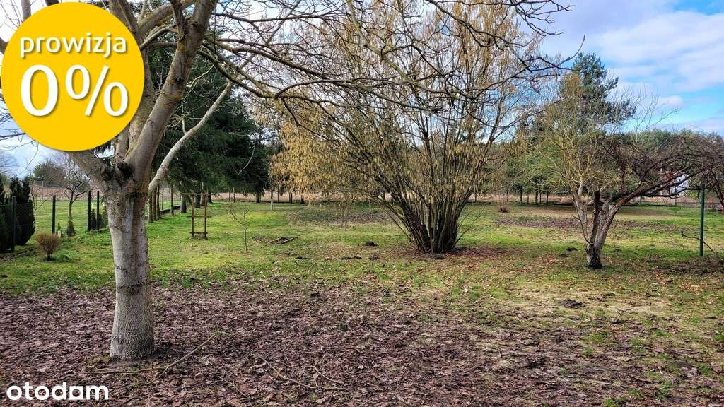 Działka w Chłopinach z budynkiem gospodarczym. - Pełny obrazek: 4/9