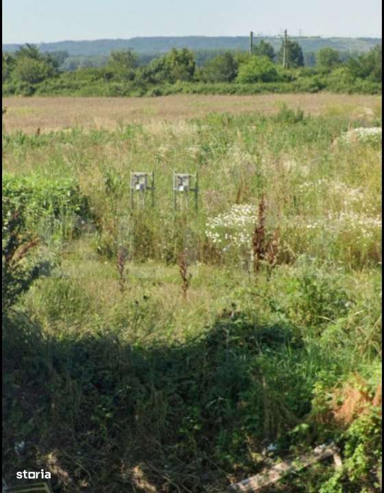 Teren extravilan cu o suprafata de 2373 mp in Racarii de sus - Imagine principală: 2/2