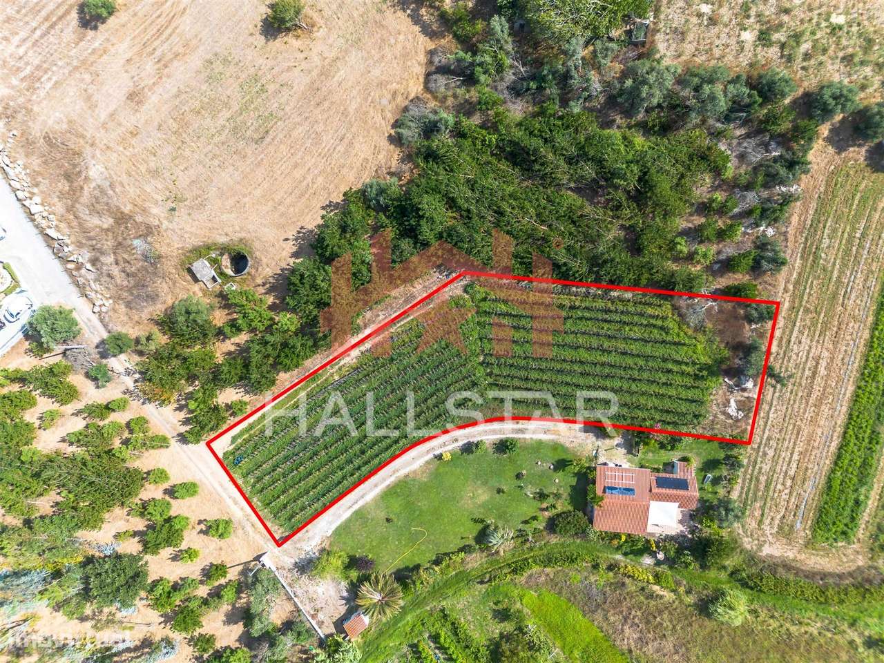 Terreno para construção / Área de 1848m² / Souto da Carpalhosa-8