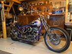 Harley-Davidson Inny - 24