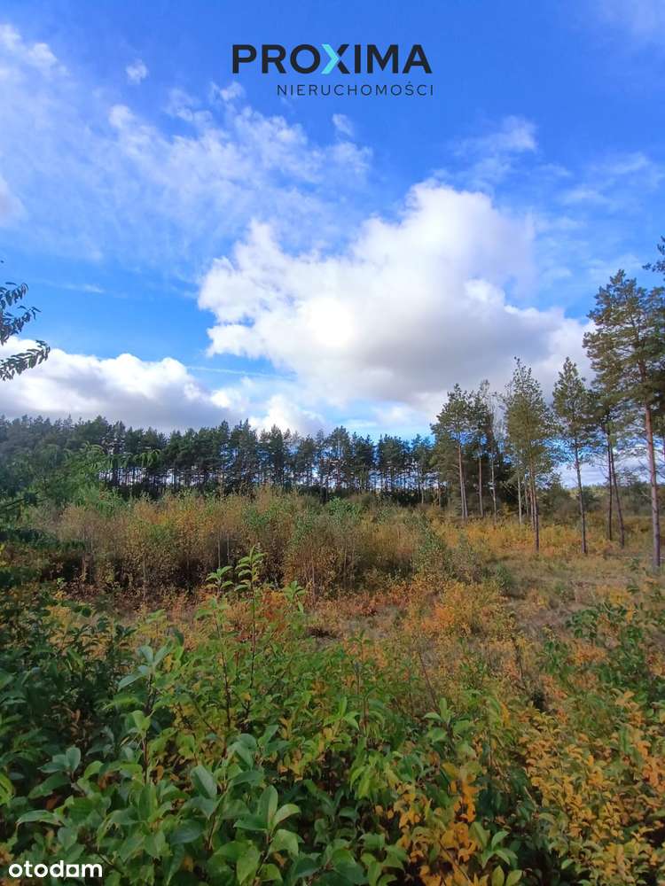 Działka Inwestycyjna – Dąbrówka, Gmina Luzino, Pow-6