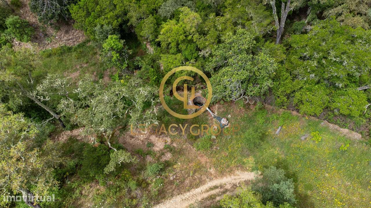 Quinta de 6 hectares perto de São Martinho das Amoreiras-13