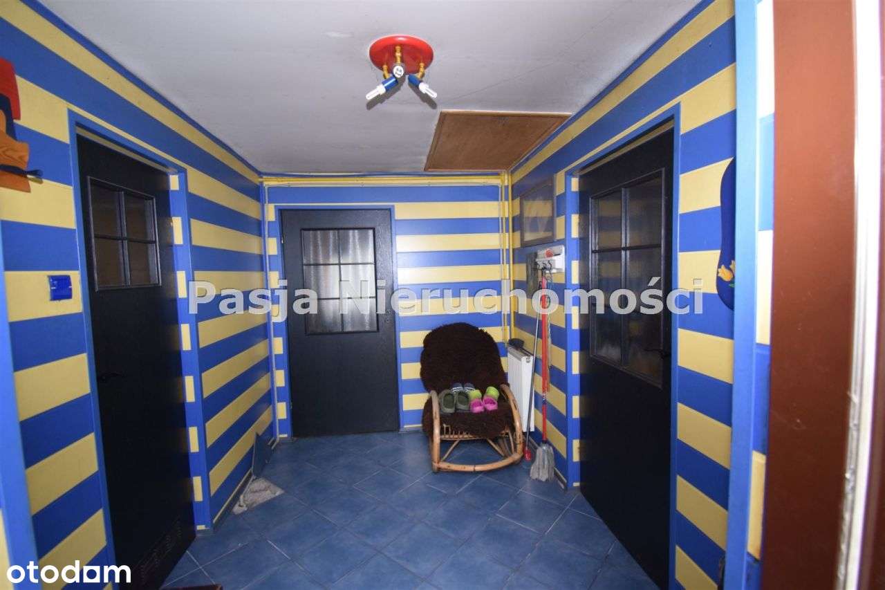 Siedlisko przy lesie-11