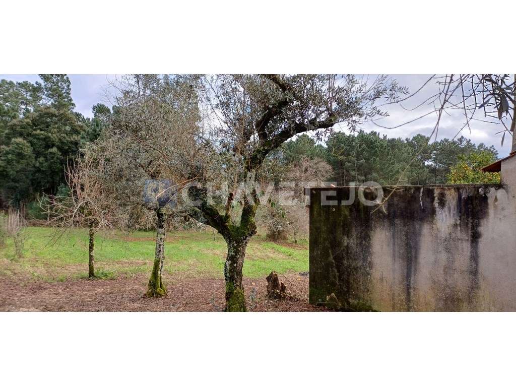 Casa Antiga Com Arrecadação e Terreno Para Recuperar, Cernache do B...-23