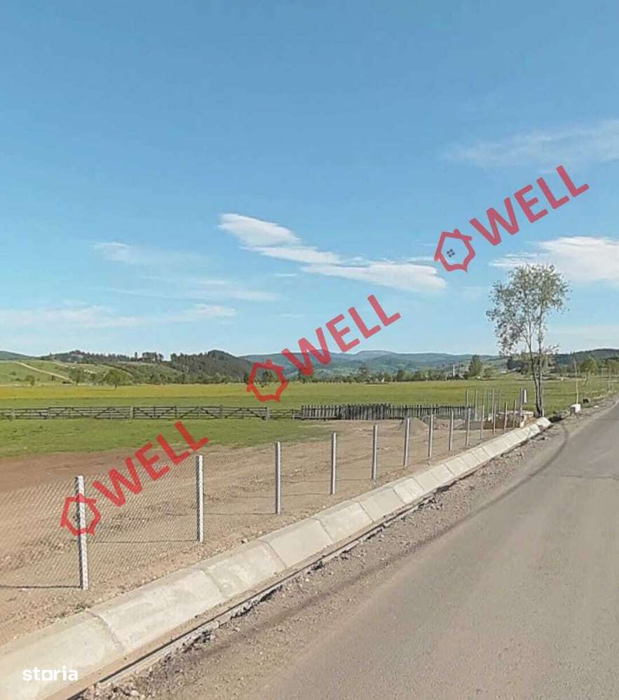 De vânzare teren extravilan în  loc. Sărămaș, com. Barcani - Imagine principală: 2/4