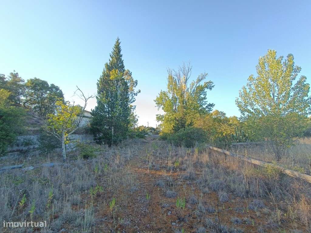 PRÉDIO PARA SERVIÇOS-12