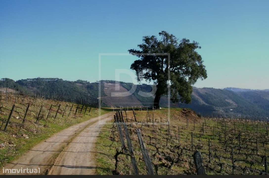 Quinta da Cumeira-45