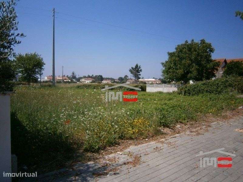 Terreno para construção - Grande imagem: 5/6