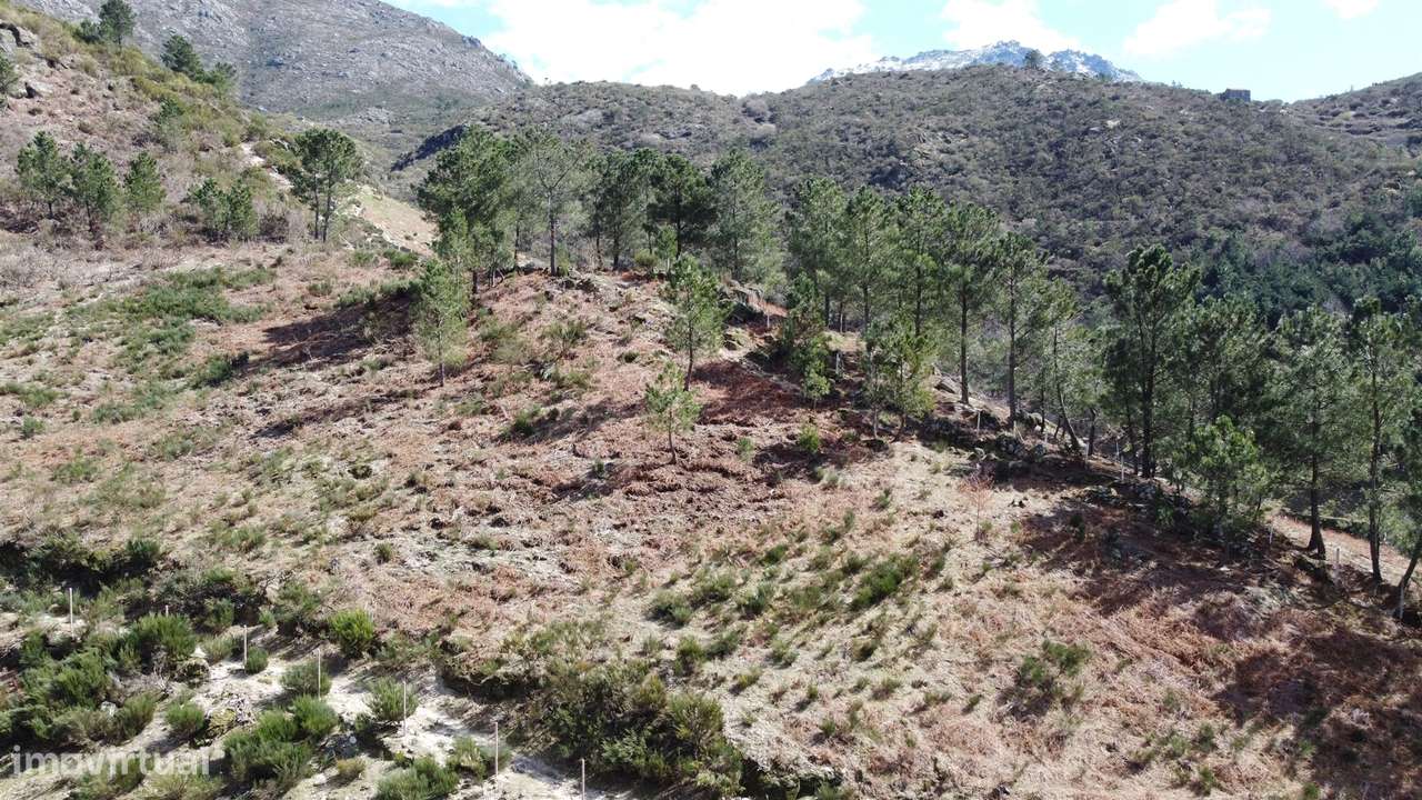 Quinta T0 Venda em Loriga,Seia-9