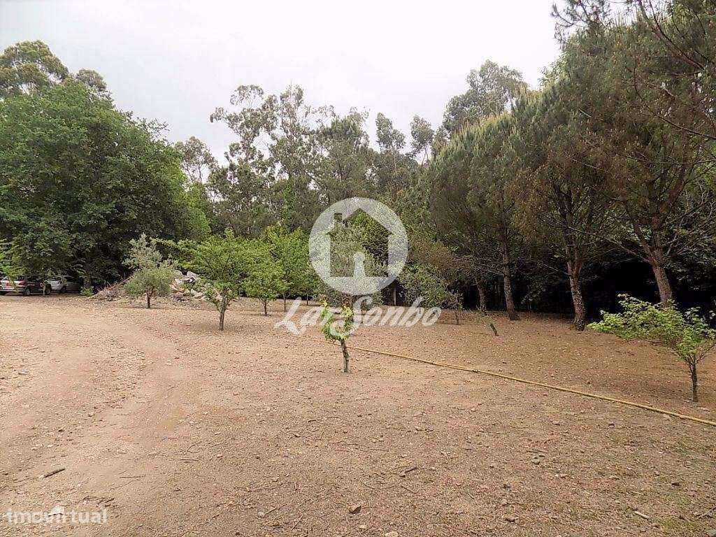 Terreno inserido em zona verde c/ 9200m2 em Cruz, Vila Nova de Fama... - Grande imagem: 5/21
