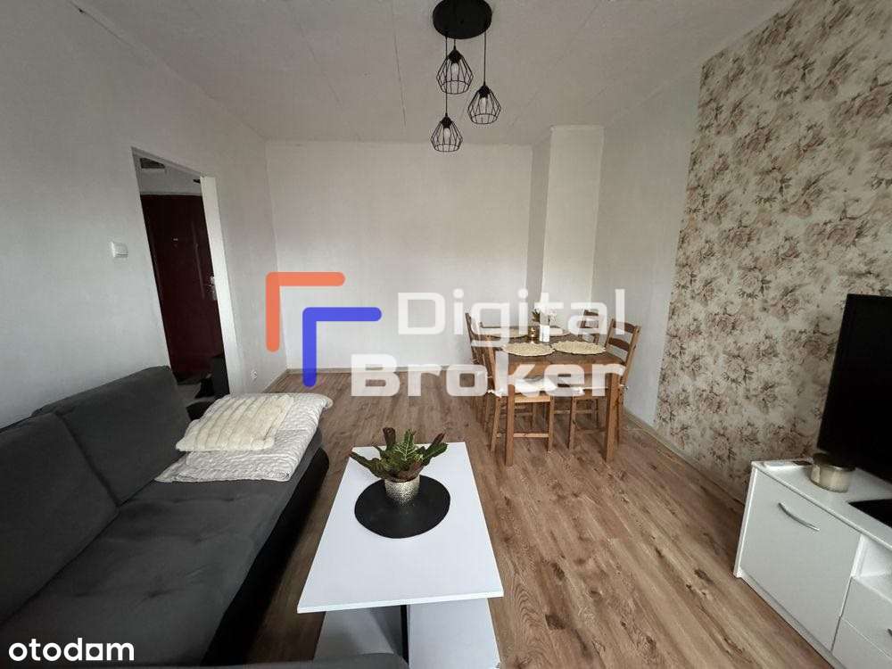 Przestronne*Gotowe do wprowadzenia*27m2* - Pełny obrazek: 4/8