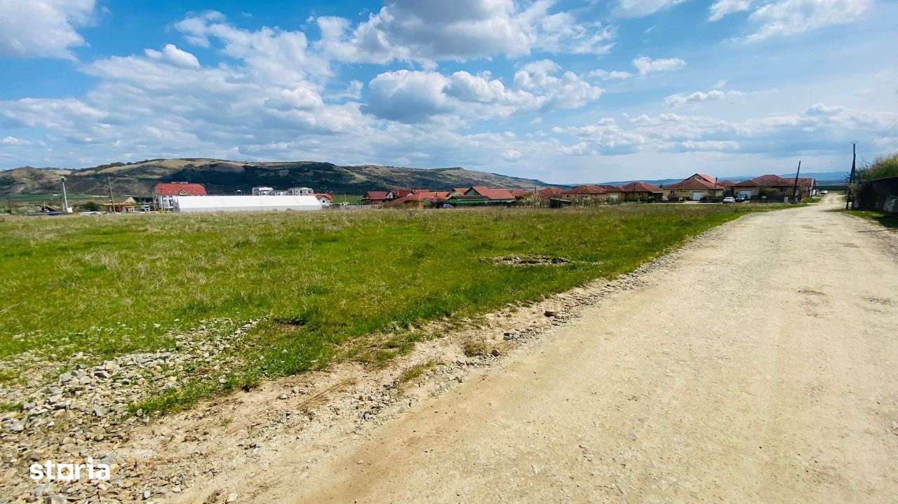 Teren De Vanzare In Sebes Dezvoltare Rezidentiala 15201 Mp, Zona Motel - Imagine principală: 5/10