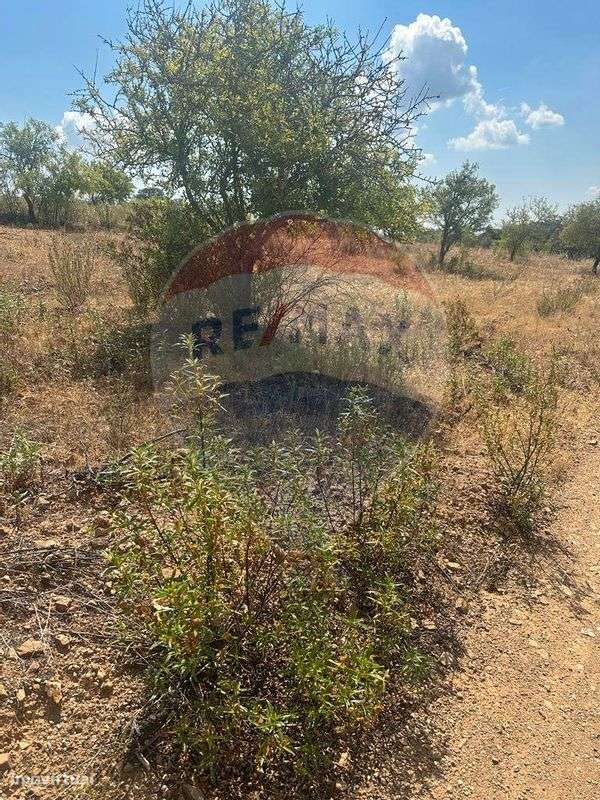 Terreno  para venda - Grande imagem: 5/9