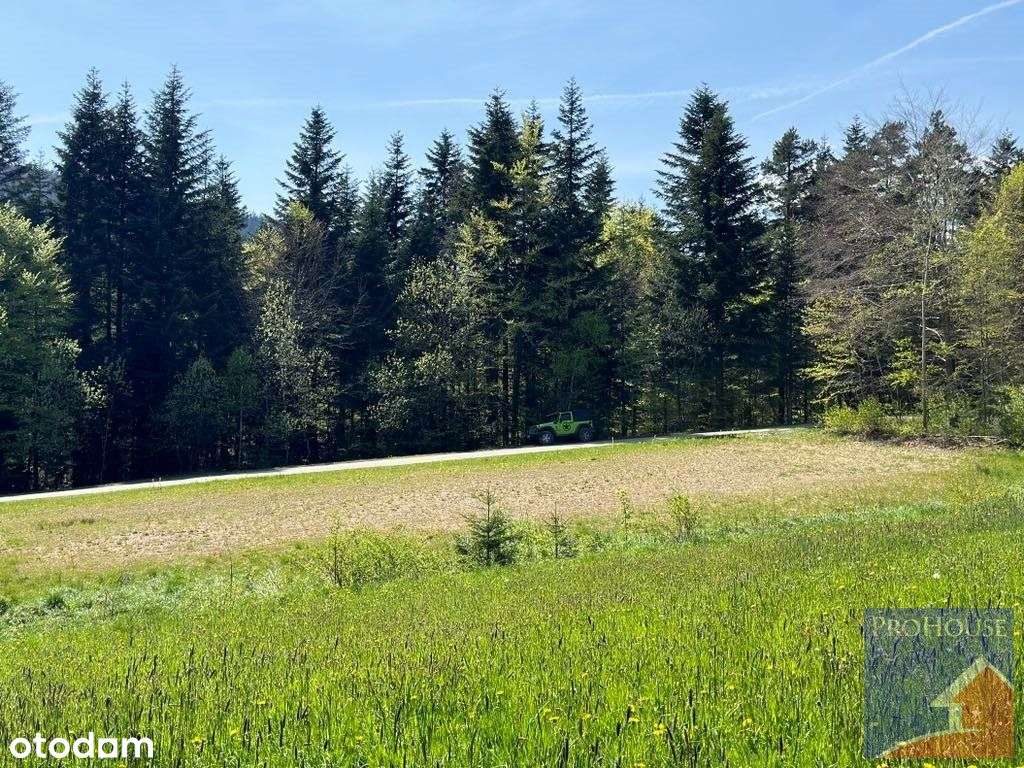 Działka, 4 100 m², Roztoka - Pełny obrazek: 5/9