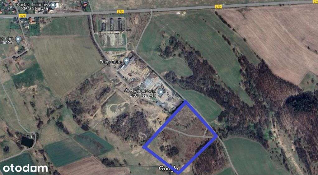 Działka, 39 000 m², Dziećmorowice - Pełny obrazek: 4/6
